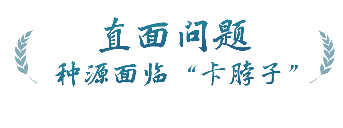 春事看農(nóng)桑丨播下好種子，豐收有底氣