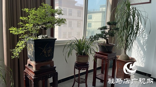 當(dāng)日預(yù)訂三萬畝地！六豐農(nóng)業(yè)百農(nóng)607觀摩訂貨會火爆收官