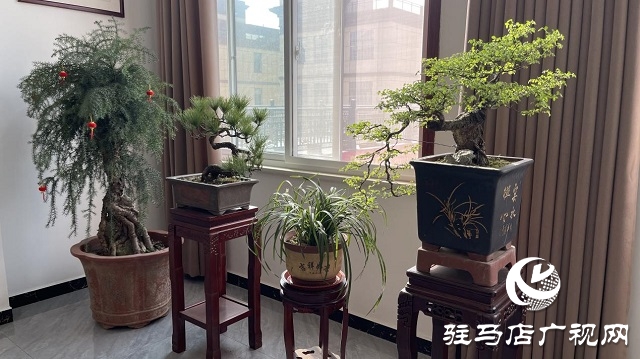 當(dāng)日預(yù)訂三萬畝地！六豐農(nóng)業(yè)百農(nóng)607觀摩訂貨會火爆收官
