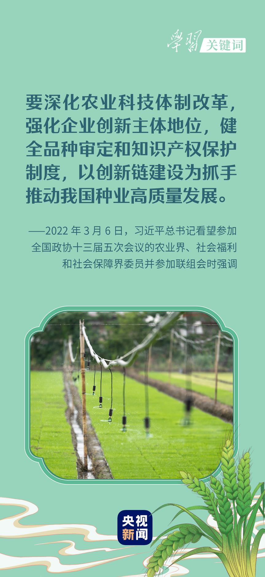 春事看農(nóng)桑丨播下好種子，豐收有底氣