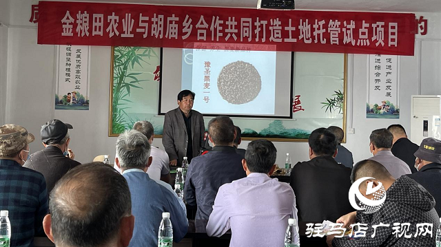 噸源種業(yè)黑色小麥觀(guān)摩會(huì)成功召開(kāi)