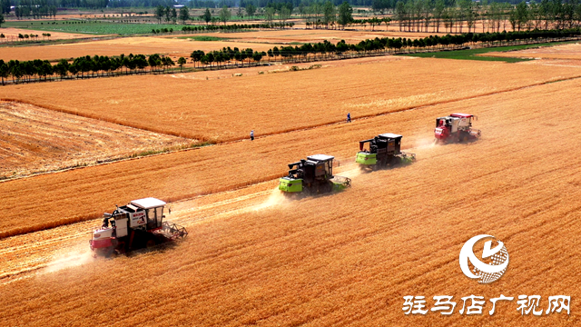 泌陽(yáng)縣農(nóng)業(yè)機(jī)械技術(shù)服務(wù)中心舉辦小麥機(jī)收減損技能大比武