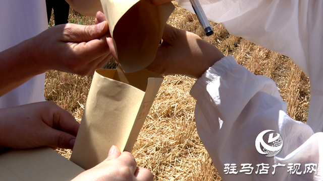 泌陽(yáng)縣農(nóng)業(yè)機(jī)械技術(shù)服務(wù)中心舉辦小麥機(jī)收減損技能大比武