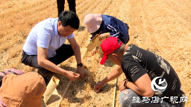 泌陽(yáng)縣農(nóng)業(yè)機(jī)械技術(shù)服務(wù)中心舉辦小麥機(jī)收減損技能大比武