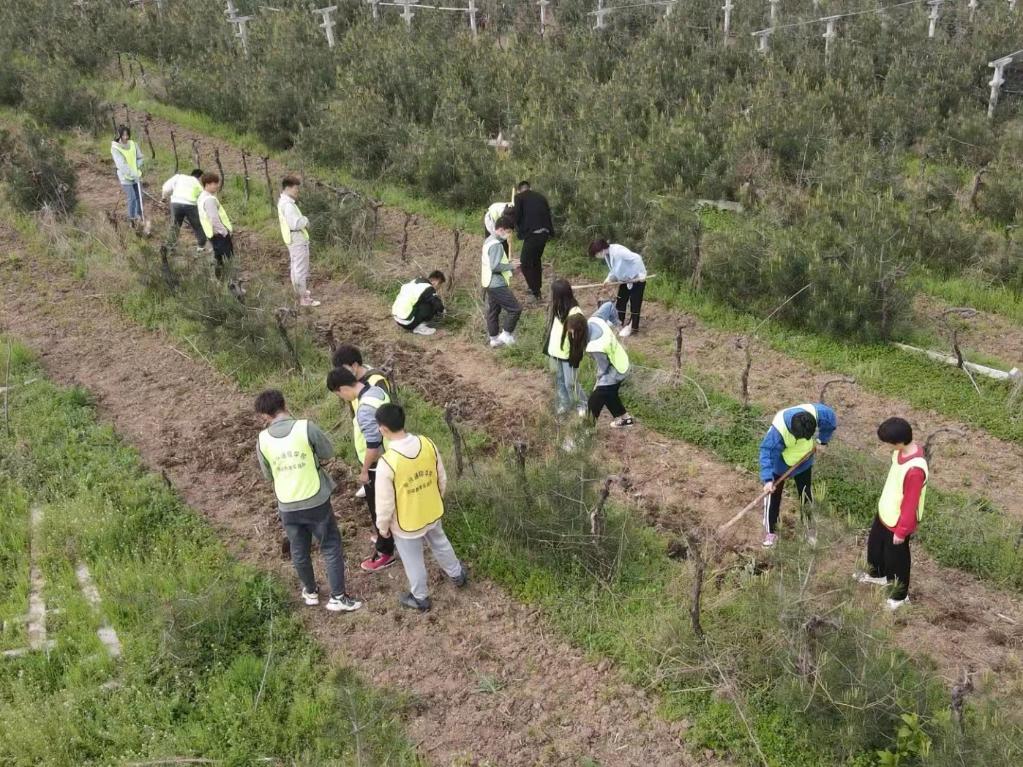 奮進(jìn)新征程 建功新時(shí)代·我們的新時(shí)代丨秦嶺腳下，“95后”新農(nóng)人播撒新希望