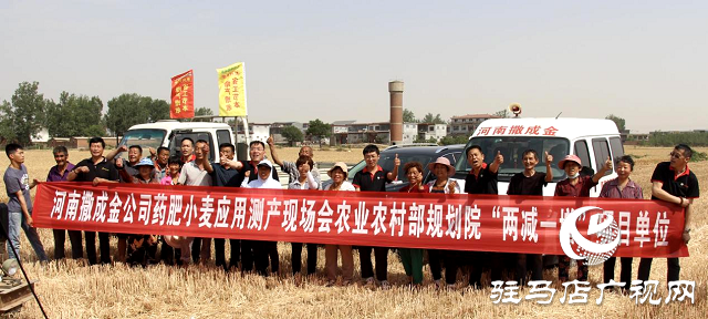  【見證高產(chǎn)奇跡】：河南撒成金藥肥 豐收現(xiàn)場顯神威
