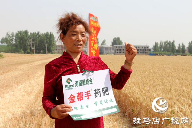 【見證高產(chǎn)奇跡】：河南撒成金藥肥 豐收現(xiàn)場顯神威