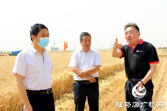  【見證高產(chǎn)奇跡】：河南撒成金藥肥 豐收現(xiàn)場顯神威