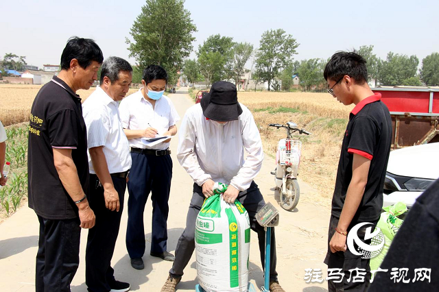  【見證高產(chǎn)奇跡】：河南撒成金藥肥 豐收現(xiàn)場顯神威