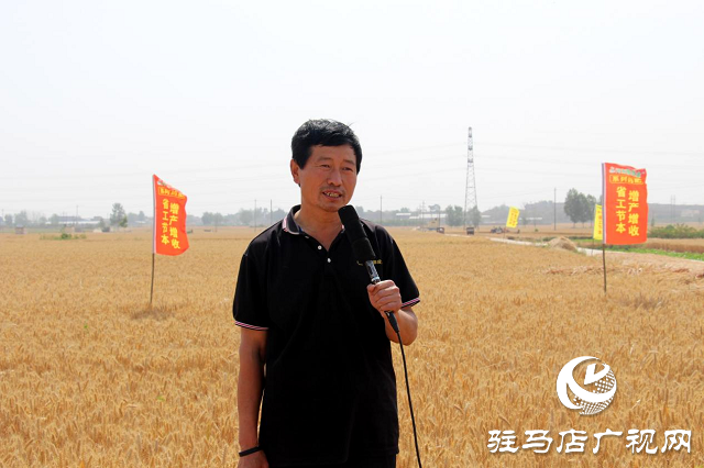  【見證高產(chǎn)奇跡】：河南撒成金藥肥 豐收現(xiàn)場顯神威