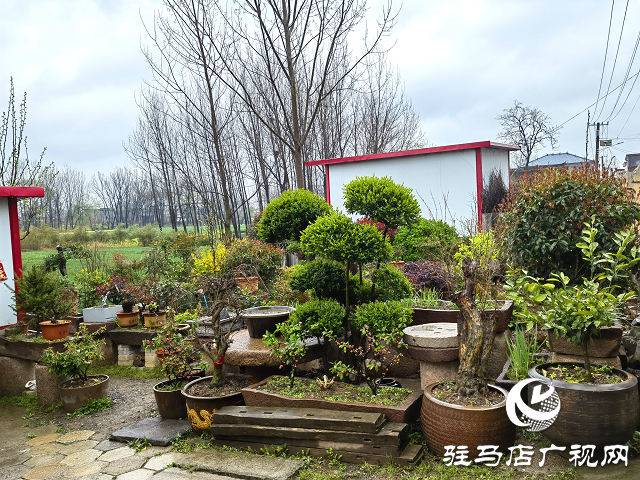 上蔡縣大路李鄉(xiāng)：強(qiáng)“本手”、創(chuàng)“妙手”、減“俗手”助力人居環(huán)境大嬗變