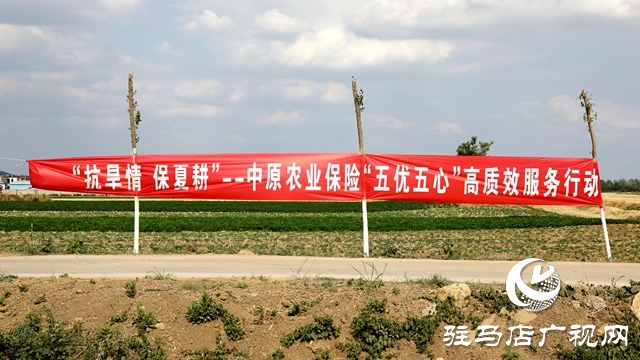 23套抗旱設(shè)備！這家公司向泰山廟鎮(zhèn)捐贈“及時雨”