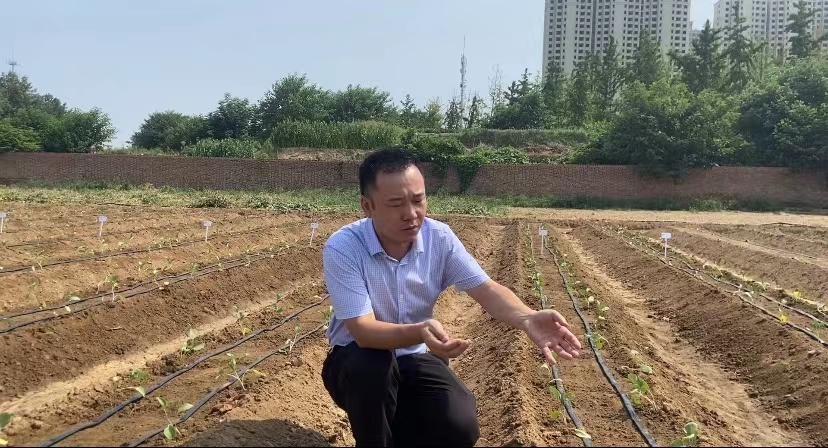 處暑話農耕：處暑至 秋意涼 準備好和夏天說再見了嗎？