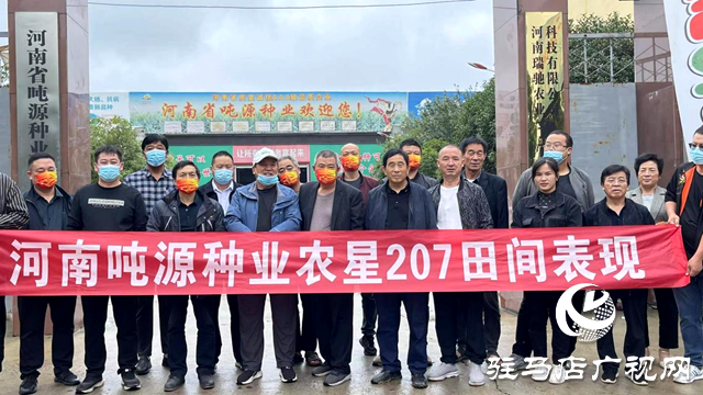 噸源種業(yè)農(nóng)星207玉米觀摩會(huì)成功召開(kāi)
