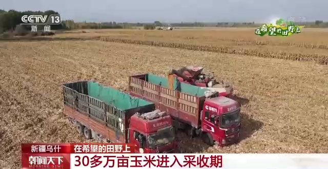 “三秋”生產(chǎn)關(guān)鍵期，各地加速推進秋收工作