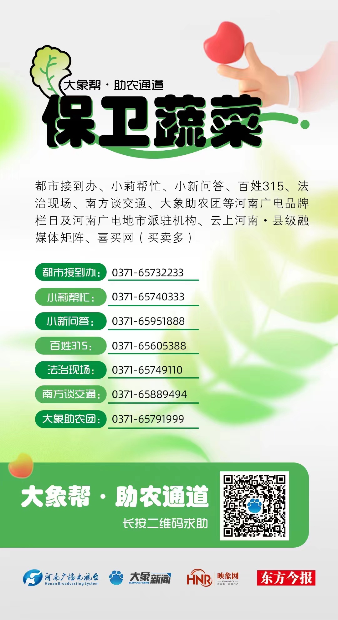 關(guān)愛(ài)·溫暖 | 大象幫·助農(nóng)直播效應(yīng)明顯，平頂山“張良蔬菜”外銷(xiāo)日增30余噸