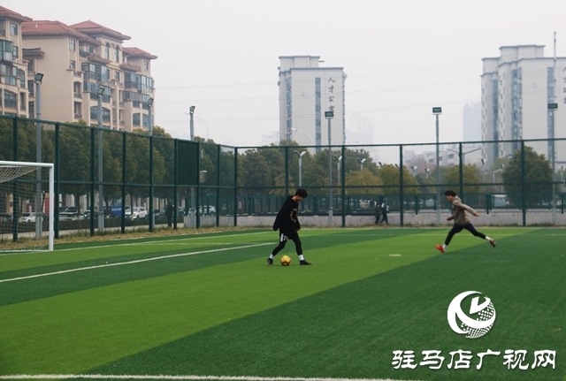 跑步、打球、 踢球…安排！駐馬店市體育場免費開放啦~