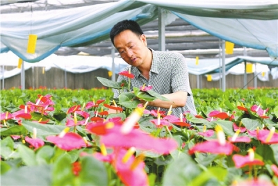 盤點2022年度河南農業(yè)十大榜樣人物