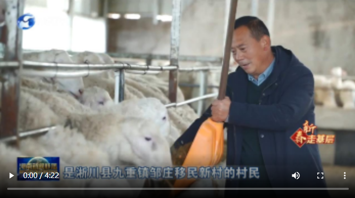 【新春走基層】淅川移民：致富路上念“羊經”