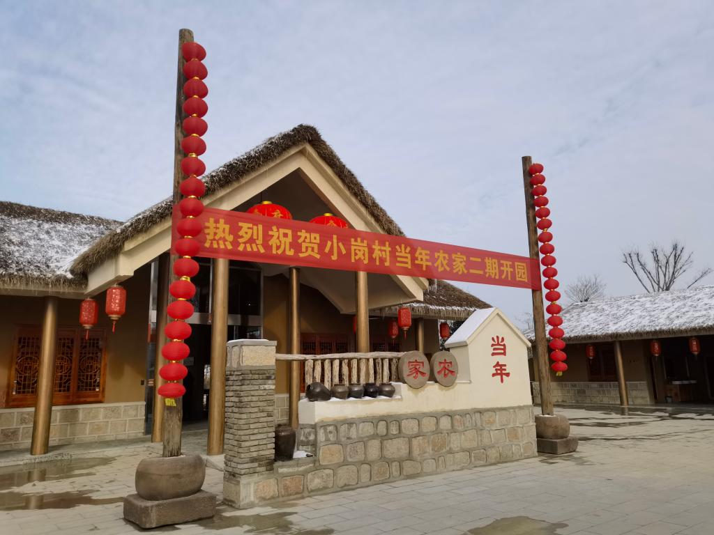 新春走基層丨小崗分紅五連增！產(chǎn)業(yè)到“崗”村民日子更紅火