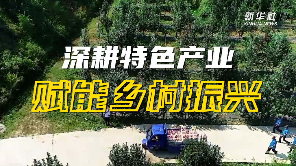 強信心·開新局｜深耕特色產(chǎn)業(yè) 賦能鄉(xiāng)村振興
