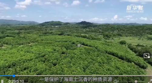強信心·開新局｜深耕特色產(chǎn)業(yè) 賦能鄉(xiāng)村振興