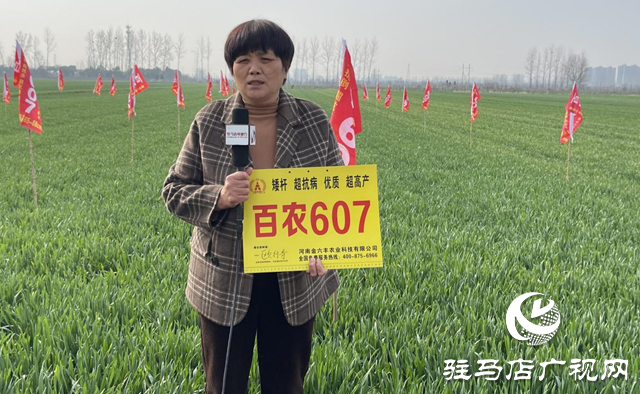 “百農(nóng)607”小麥春季觀摩訂貨會圓滿舉行