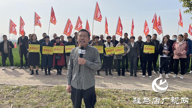 “百農(nóng)607”小麥春季觀摩訂貨會圓滿舉行