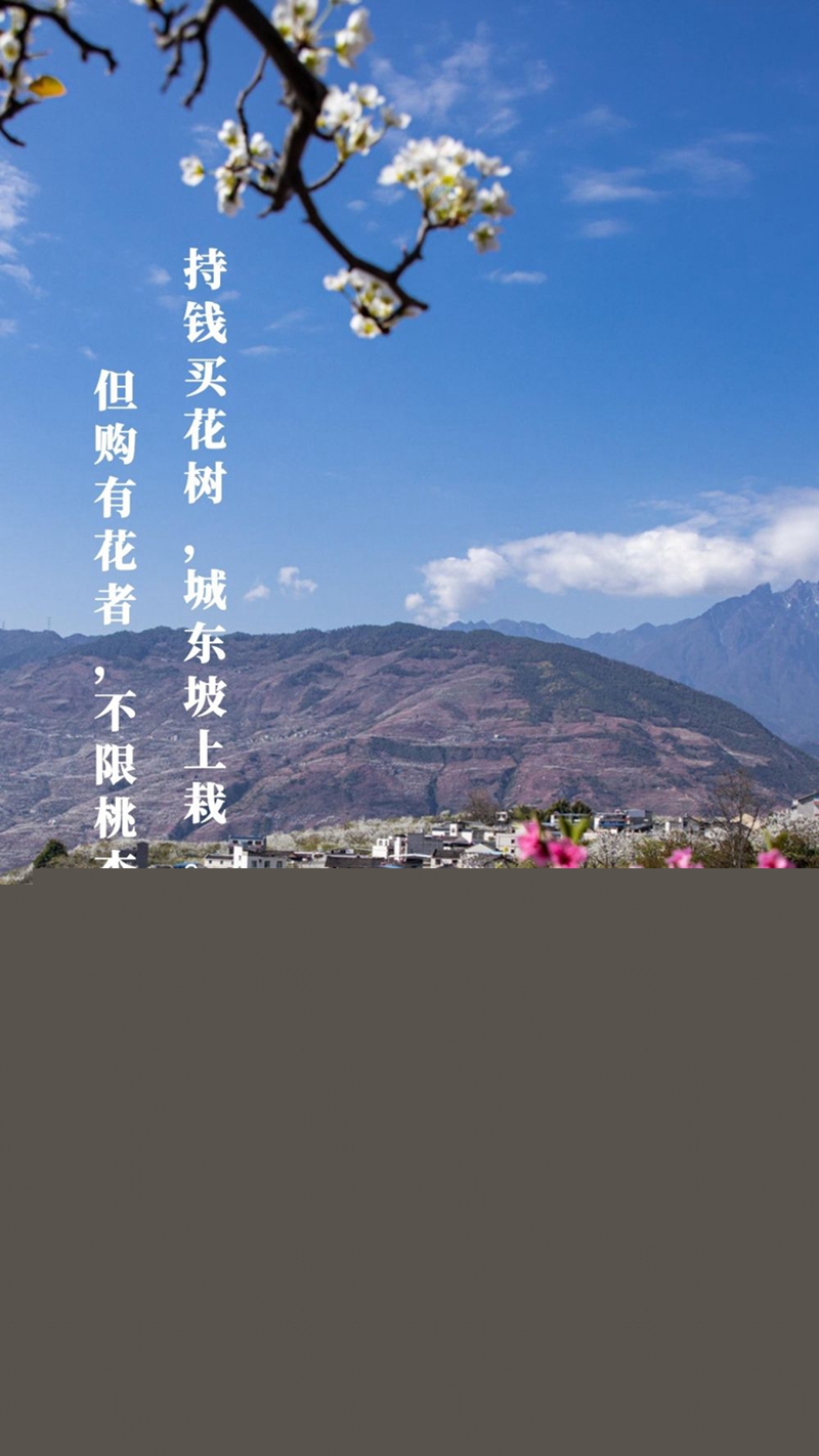 新華全媒+丨植樹(shù)傳統(tǒng)，從古詩(shī)中走來(lái)