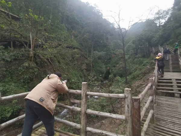 峨眉山猴子被拘留？假的！峨眉山猴子是國家二級保護(hù)動物