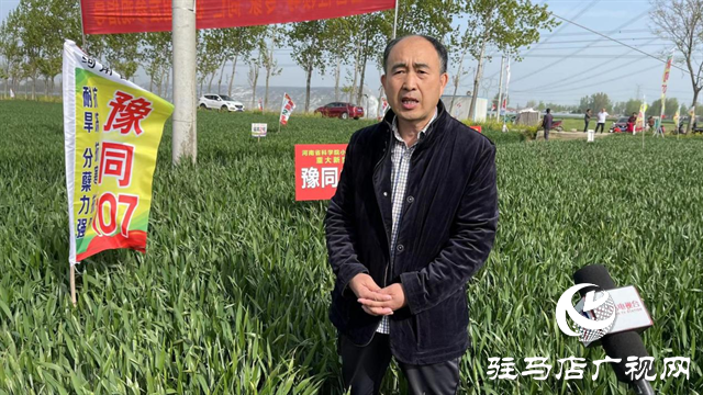 重磅！噸源種業(yè)再添強(qiáng)勢(shì)小麥品種，豫同107助農(nóng)增產(chǎn)豐收！