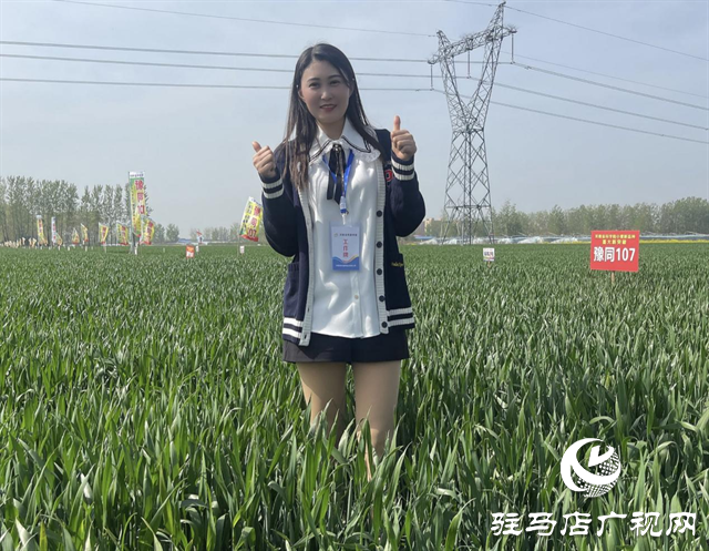 重磅！噸源種業(yè)再添強(qiáng)勢(shì)小麥品種，豫同107助農(nóng)增產(chǎn)豐收！