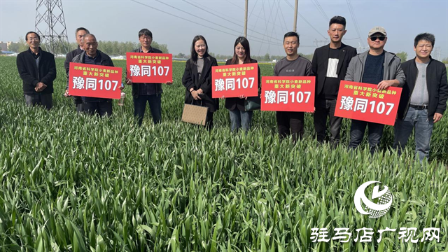 重磅！噸源種業(yè)再添強(qiáng)勢(shì)小麥品種，豫同107助農(nóng)增產(chǎn)豐收！