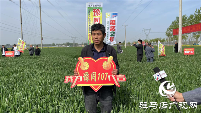 重磅！噸源種業(yè)再添強(qiáng)勢(shì)小麥品種，豫同107助農(nóng)增產(chǎn)豐收！