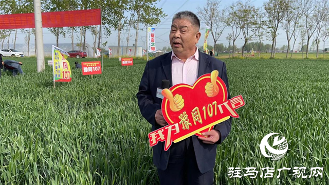 重磅！噸源種業(yè)再添強(qiáng)勢(shì)小麥品種，豫同107助農(nóng)增產(chǎn)豐收！