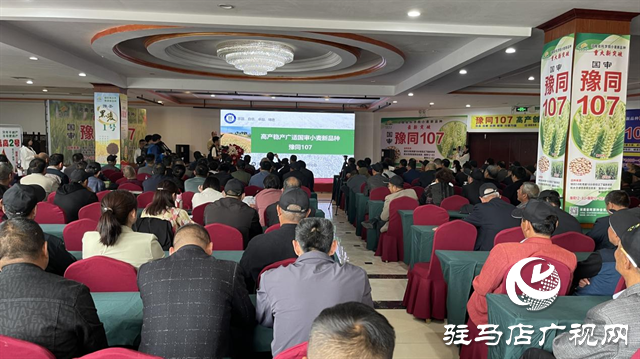 引領(lǐng)小麥新方向！噸源種業(yè)2023年豫同107觀摩會(huì)隆重召開