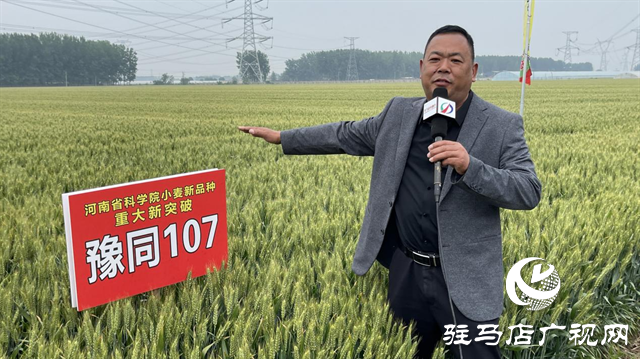 引領(lǐng)小麥新方向！噸源種業(yè)2023年豫同107觀摩會(huì)隆重召開