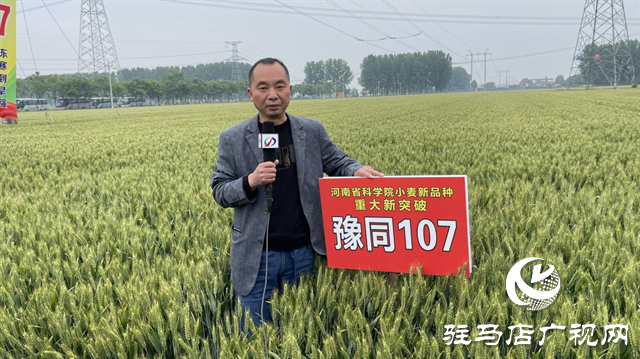 引領(lǐng)小麥新方向！噸源種業(yè)2023年豫同107觀摩會(huì)隆重召開