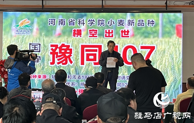 引領(lǐng)小麥新方向！噸源種業(yè)2023年豫同107觀摩會(huì)隆重召開