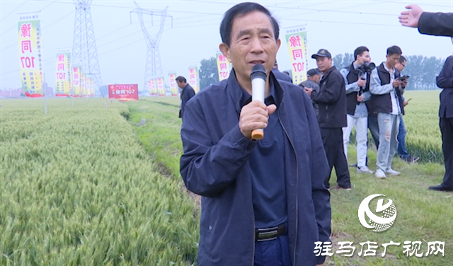引領(lǐng)小麥新方向！噸源種業(yè)2023年豫同107觀摩會(huì)隆重召開