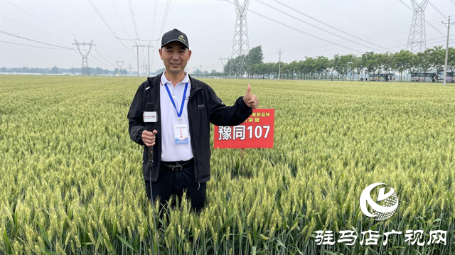 引領(lǐng)小麥新方向！噸源種業(yè)2023年豫同107觀摩會(huì)隆重召開