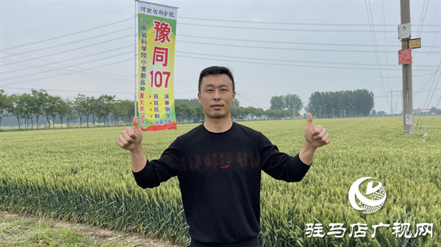 引領(lǐng)小麥新方向！噸源種業(yè)2023年豫同107觀摩會(huì)隆重召開