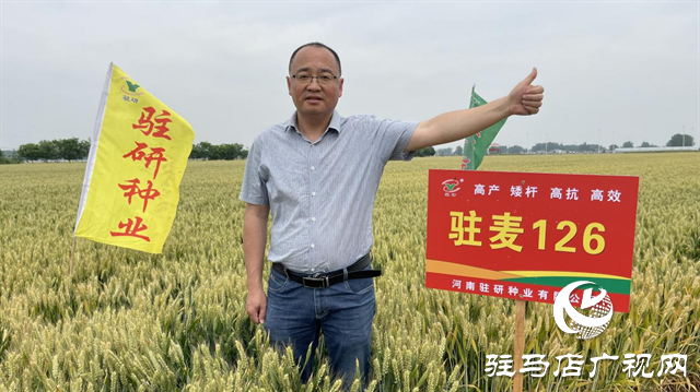 【喜訊】熱烈祝賀河南駐研種業(yè)小麥新品種“駐麥126”通過國審！