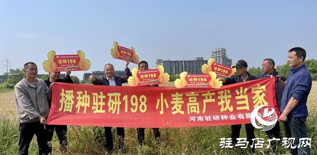 駐研種業(yè)捷報(bào)頻傳：駐麥126、駐麥156、駐研198相繼通過(guò)審定