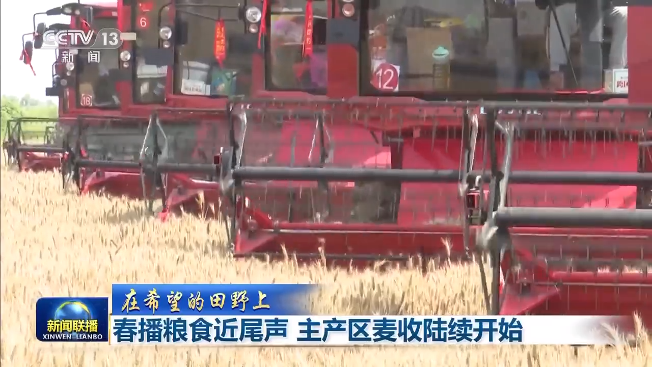 8.1億畝！全國(guó)春播糧食進(jìn)度約90% 5月底冬小麥將大面積收獲