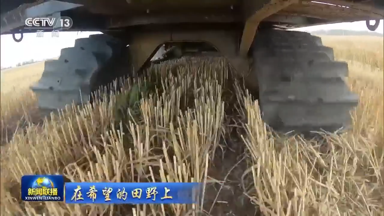 8.1億畝！全國(guó)春播糧食進(jìn)度約90% 5月底冬小麥將大面積收獲