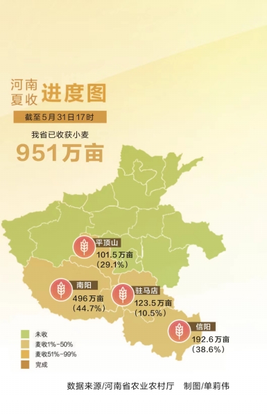 全力以赴戰(zhàn)“三夏”丨河南小麥迎來機收大會戰(zhàn)
