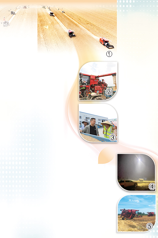 跟著農(nóng)機(jī)手搶收小麥（深度觀察）