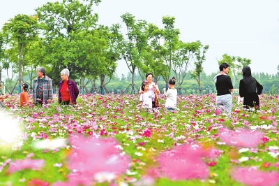 新時(shí)代 新征程 新偉業(yè)丨國(guó)際花園城市競(jìng)賽，信陽(yáng)憑啥“蟾宮折桂”