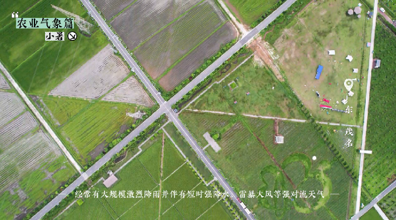 小暑——盛夏伊始，萬物蔥郁